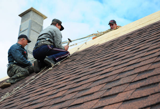 Best Roof Gutter Cleaning  in Stuart, VA